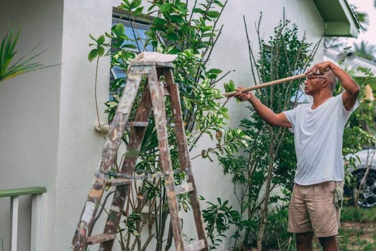 September Home-Maintenance Tips